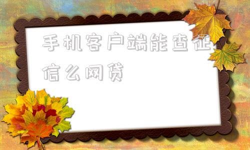 手机客户端能查征信么网贷2024年不查征信的网贷口子-第1张图片-太平洋在线下载
