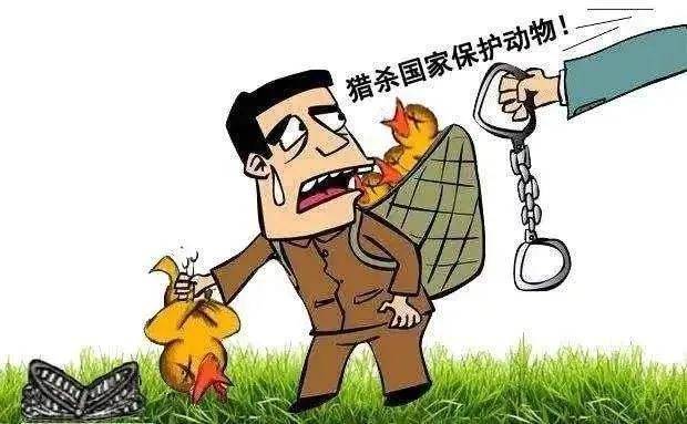青少年普法网手机版动物教育部全国青少年普法网2-第1张图片-太平洋在线下载