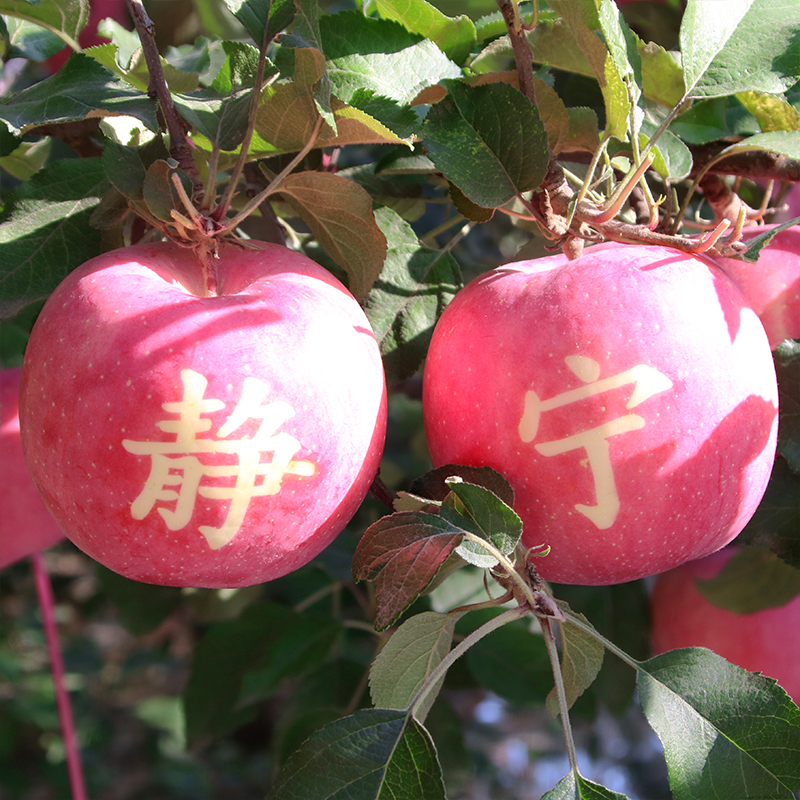 砀山麻将苹果版徐州麻将app下载-第2张图片-太平洋在线下载