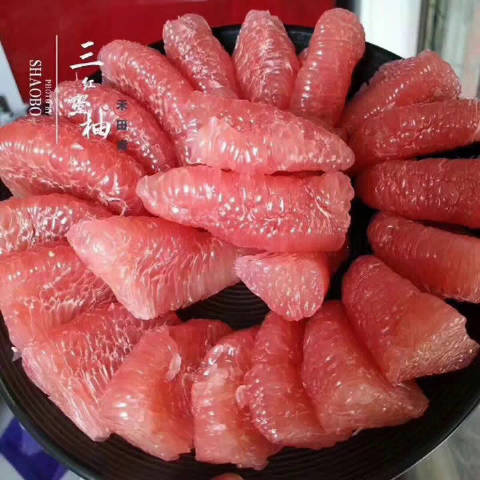 禾田青客户端禾田青最新新闻-第1张图片-太平洋在线下载
