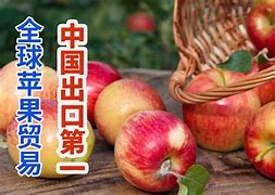记点点苹果版全力点点苹果版