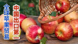anki苹果版登录appsankiwebnet-第2张图片-太平洋在线下载