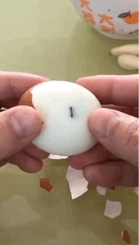 tumblrmac客户端tumblr客户端登录不上去-第1张图片-太平洋在线下载