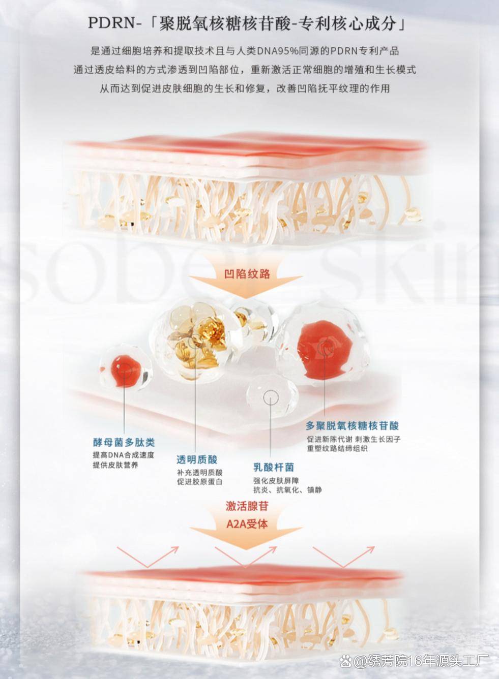 重生细胞手机版如何换皮肤手机版重生细胞国王皮肤怎么得-第1张图片-太平洋在线下载