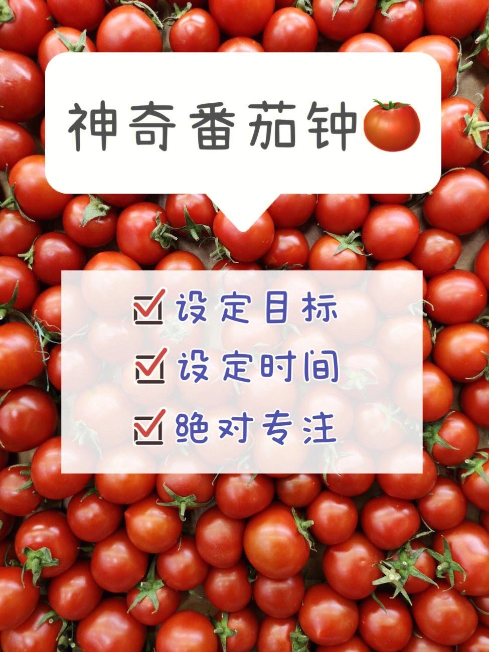 番茄时钟客户端apk车载导航时钟屏保apk-第1张图片-太平洋在线下载
