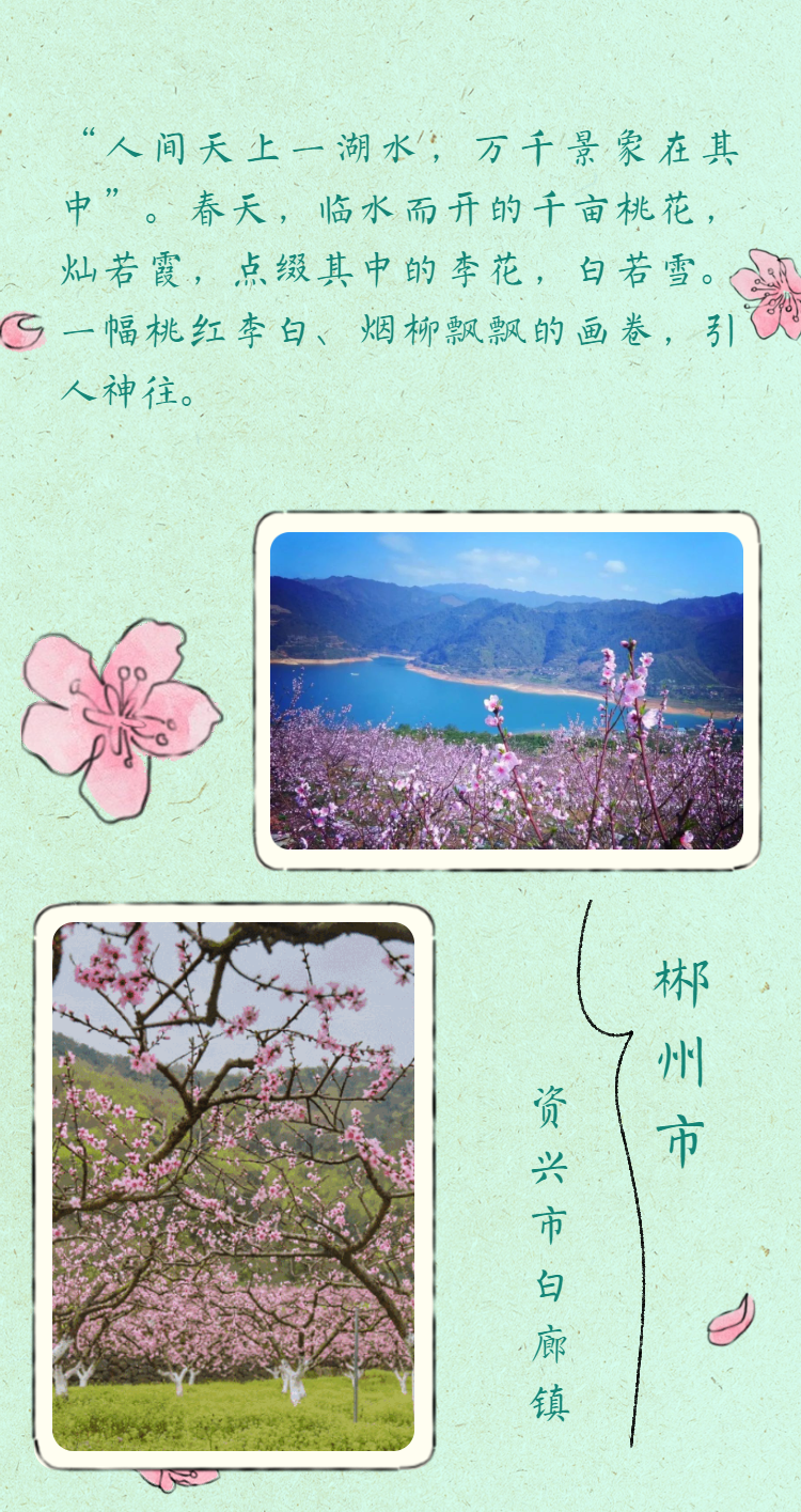 蜻蜓fmapp安卓版蜻蜓fm收音机广播电台-第1张图片-太平洋在线下载