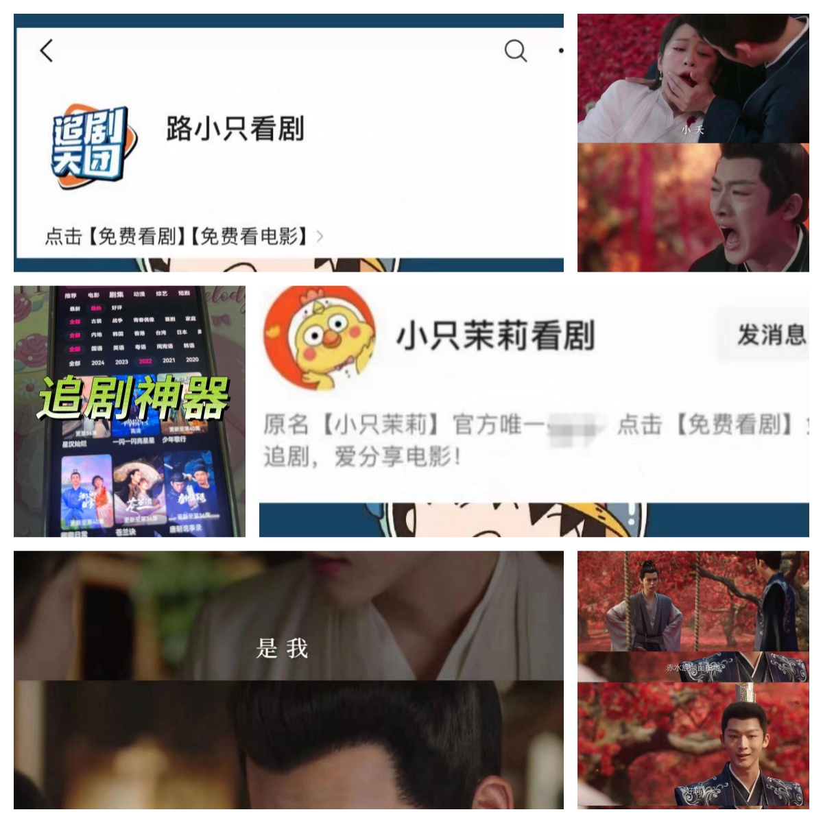 苹果版看剧无广告下载无广告免费tv电视剧app下载中文版-第2张图片-太平洋在线下载