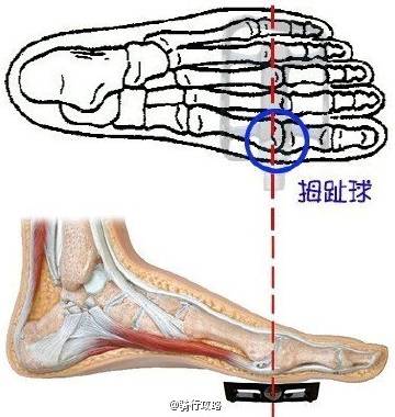 踩踏商城苹果版mt管理器下载苹果版