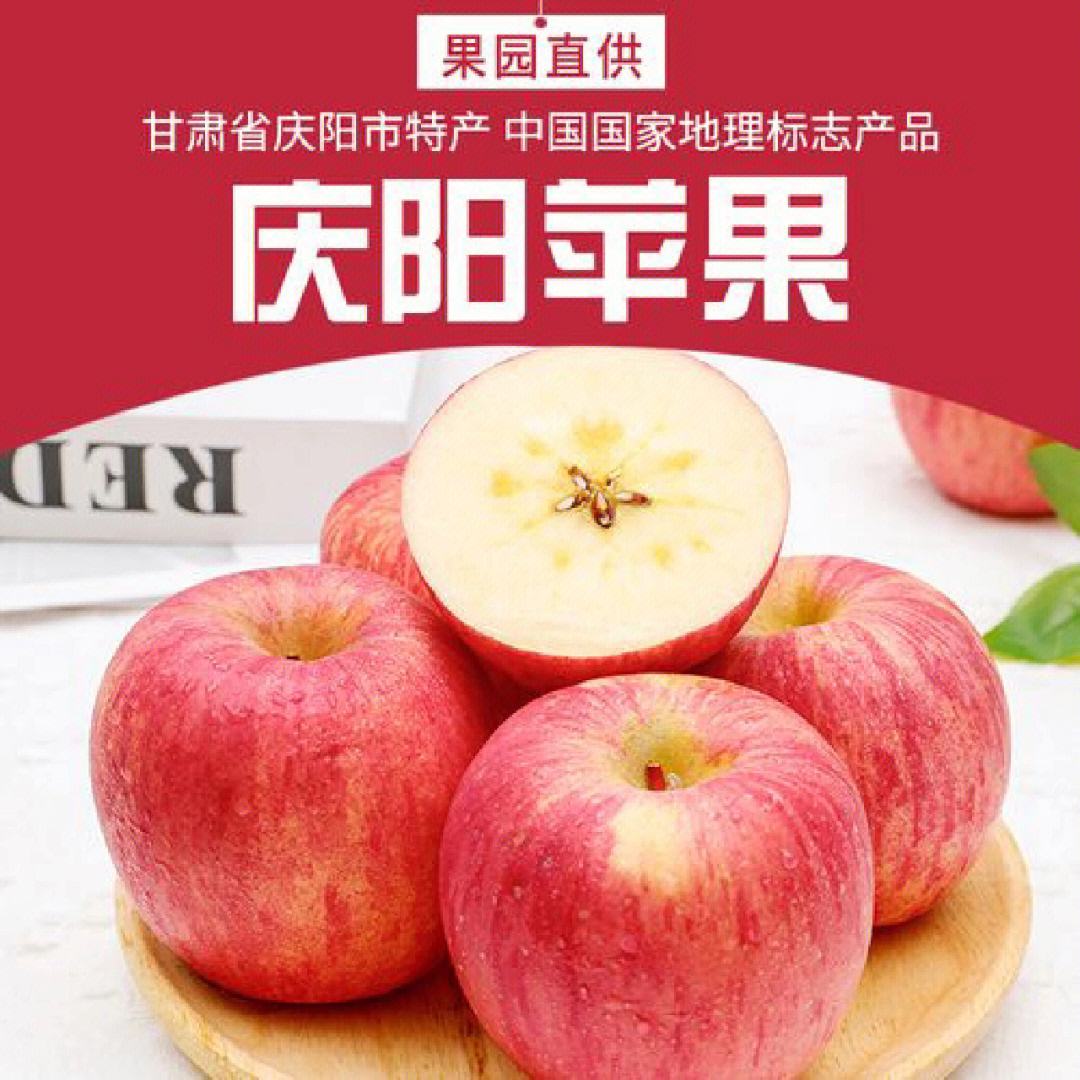 掌上庆阳苹果版苹果应用商店下载-第2张图片-太平洋在线下载